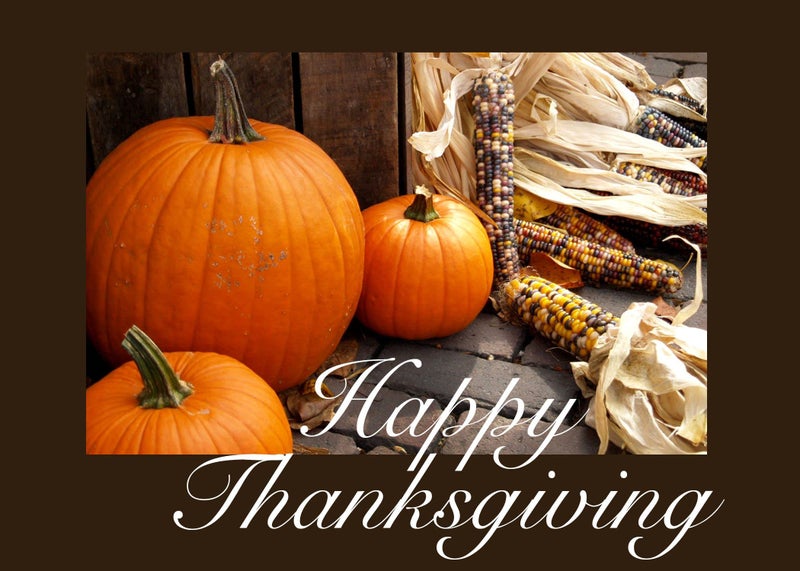 CEO Cards Thanksgiving Cards for Business & Family (Pumpkins & Corn) Greeting Card Set Pack of 25 Thanksgiving Cards with Envelopes (5x7 inch - A7) Great for Office, Work, Employees & Clients TH1511 - Image 2